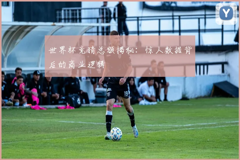 世界杯竞猜总额揭秘：惊人数据背后的商业逻辑