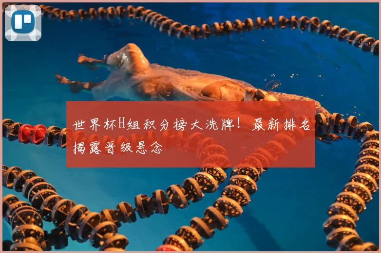 世界杯H组积分榜大洗牌！最新排名揭露晋级悬念