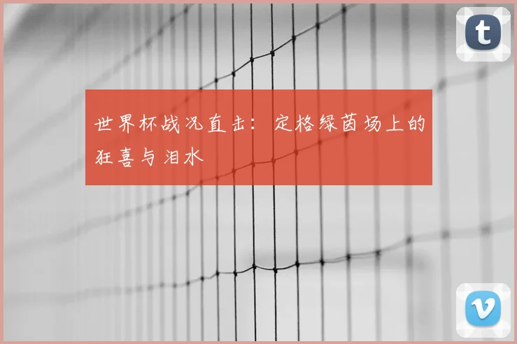 世界杯战况直击：定格绿茵场上的狂喜与泪水