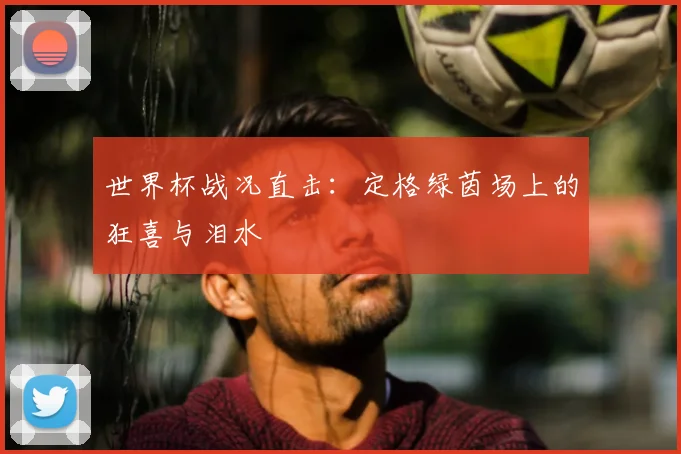 世界杯战况直击：定格绿茵场上的狂喜与泪水